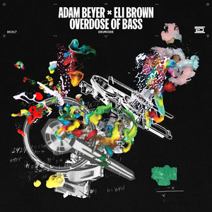 JSGAME美女真人版手游
