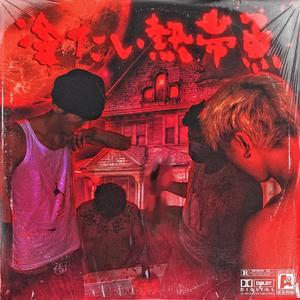 JSGAME美女真人版手游
