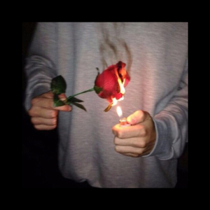 JSGAME美女真人版手游
