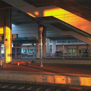 JSGAME美女真人版手游
