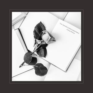 JSGAME美女真人版手游
