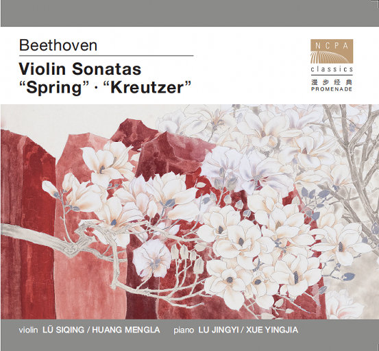 JSGAME美女真人版手游
